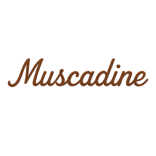 Muscadine